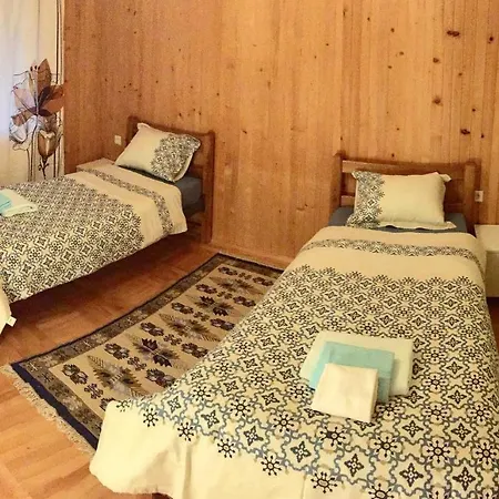 Villa Dinek -